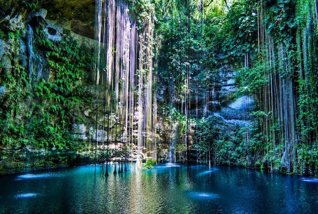 The Most Amazing Cenotes In Mexico Oyster Com