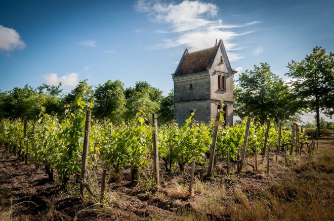 Château Picque Caillou: Guillaume über Flickr