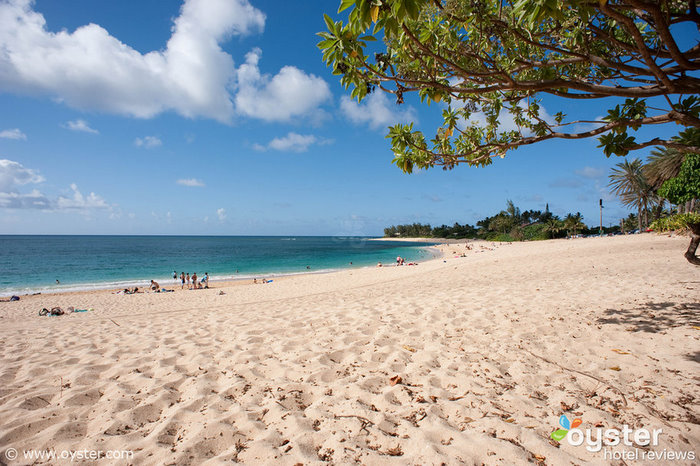 Guests can surf, snorkel, or swim at Turtle Bay's beach, right outside the door. Protective coral reef keeps the water fairly calm and clear.