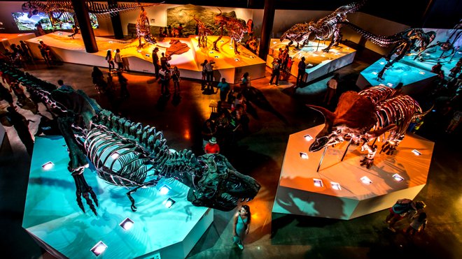 Die Paläontologische Halle des Houston Museum of Natural Science. Foto mit freundlicher Genehmigung von Greater Houston Convention and Visitors Bureau