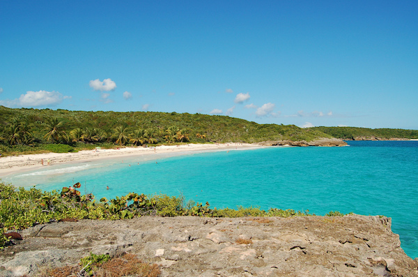 Navio Beach à Vieques (Photo avec la permission de Mark Donoher )