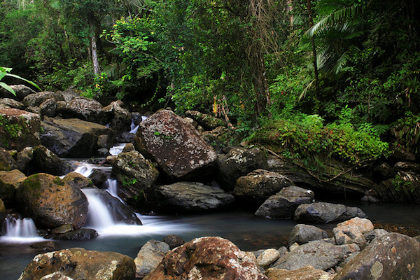 Rio em El Yunque Rainforest (Foto cedida por Doreeno )