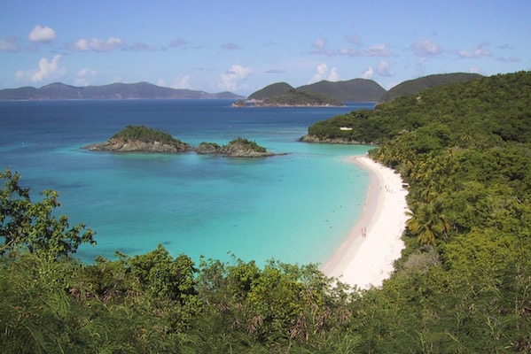 Regenwald mit Blick auf Trunk Bay, St. John