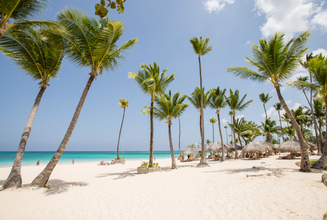 Beach at the Iberostar Grand Bavaro Hotel/Oyster