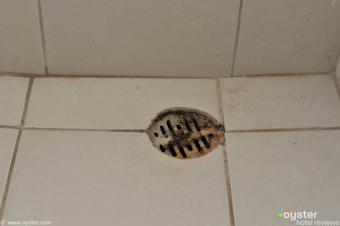 Moldy shower drain at Negril Escape Resort and Spa, Jamaica