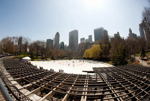 Central Park, New York City / Oyster