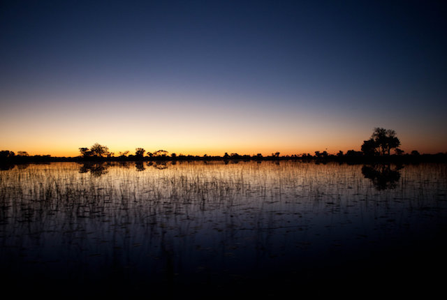 etBeyond Xaranna Okavango Delta Camp / Oyster