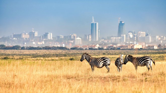 Le parc national de Nairobi;  Rod Waddington / Flickr