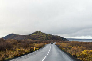 Ring Road, Iceland/Oyster