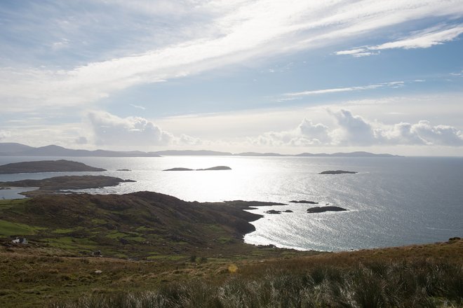 Ring of Kerry, Irland / Auster