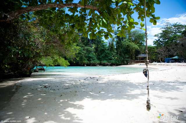 c.) Frenchman's Cove in Port Antonio is considered one of the most beautiful beaches in the world.
