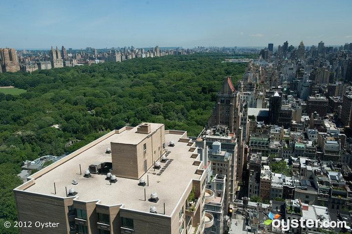 Mit einem weiten Blick auf den Central Park und die New Yorker Skyline ist The Pierre der perfekte Ort für ein Fotoshooting nach der Hochzeit.