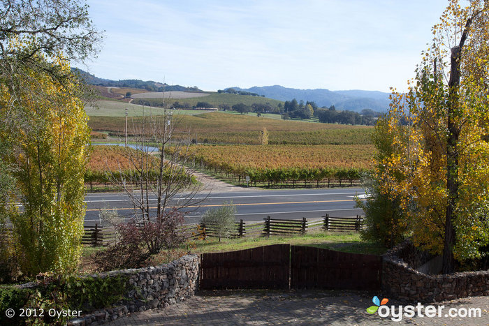 Ninguna visita al condado de Sonoma está completa sin un viaje a los viñedos, y una muestra de los vinos locales, por supuesto.