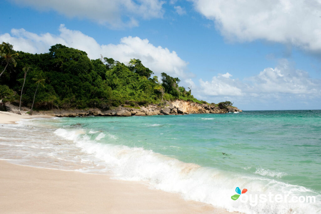Plage au luxe Bahia Principe Cayo Levantado, Samana / Huître Plage au luxe Bahia Principe Cayo Levantado, Samana / Huître