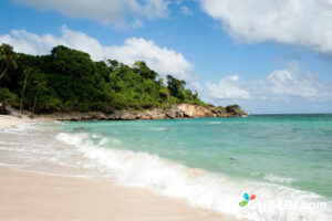 Beach at the Luxury Bahia Principe Cayo Levantado, Samana/Oyster