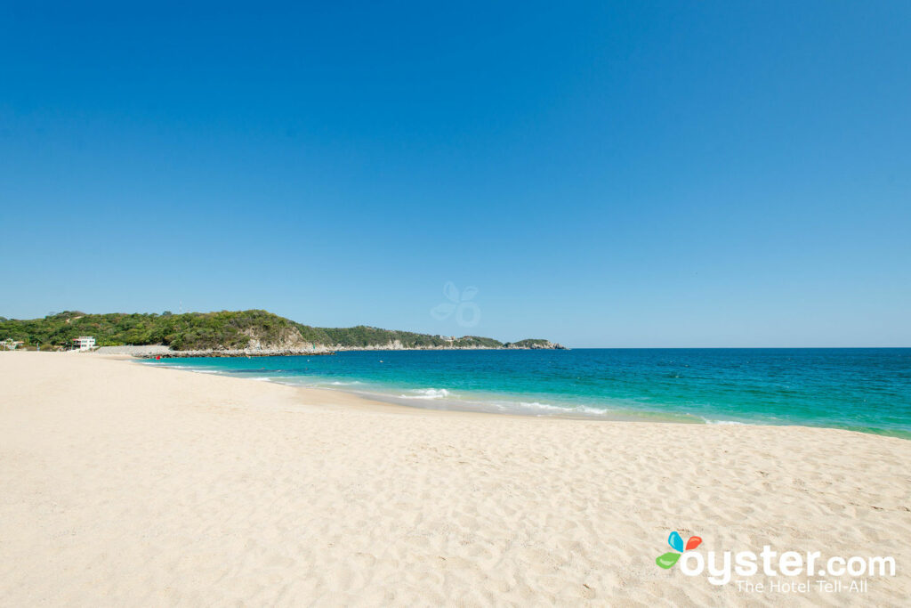 Plage à Huatulco / Huître