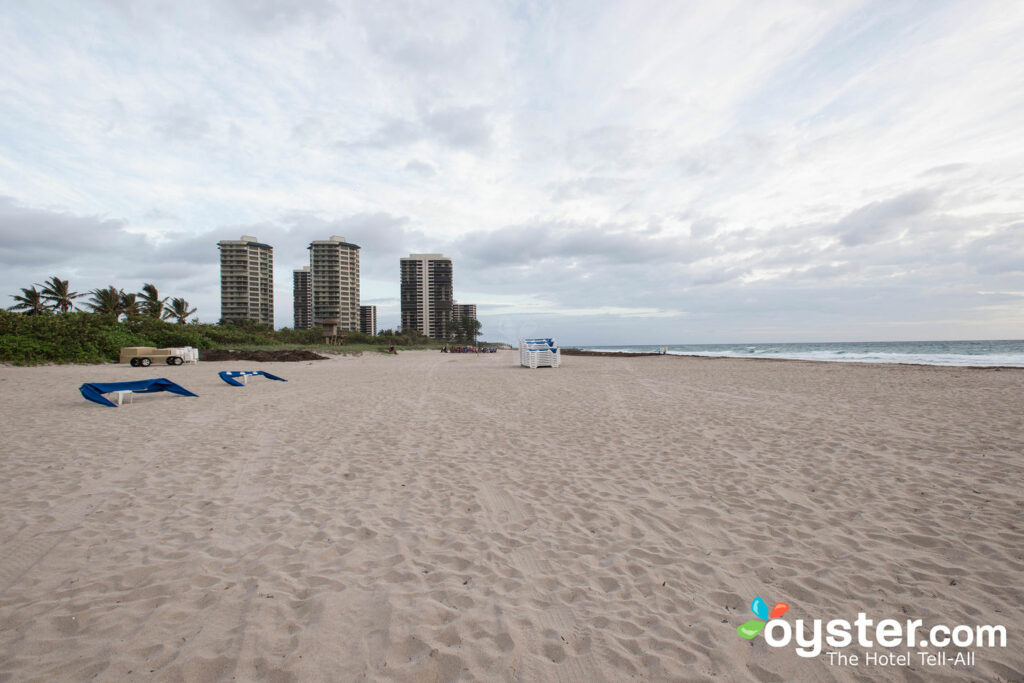 Spiaggia a Palm Beach Marriott Singer Island Beach Resort & Spa / Oyster