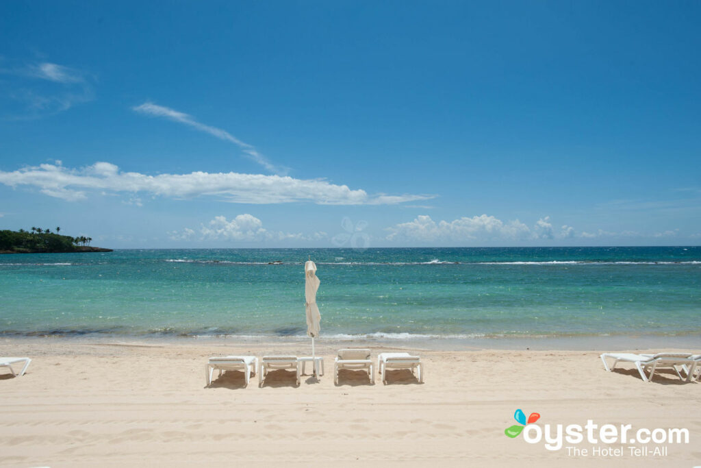 Plage à la Casa de Campo Resort & Villas, La Romana / Huître