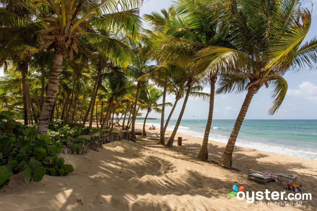 Playa en Portblue Le Sivory Punta Cana / Oyster