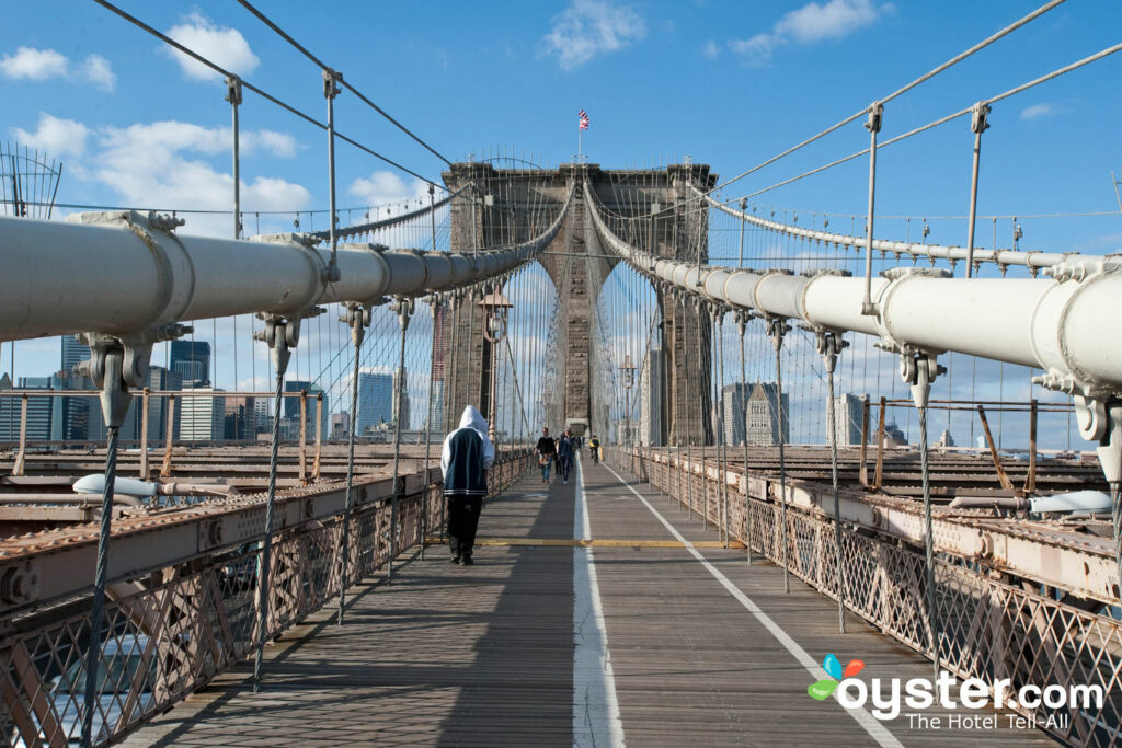 Brooklyn Bridge in New York City/Oyster Brooklyn Bridge in New York City/Oyster