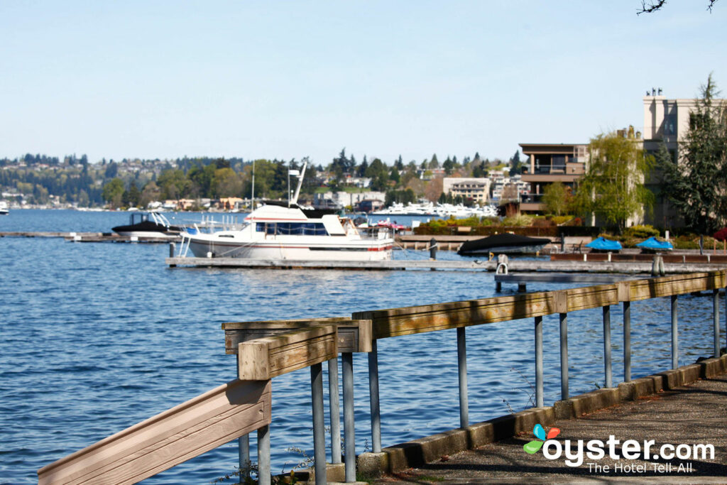 Motorboats in Seattle