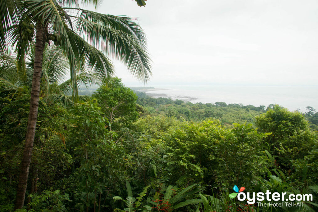 Relaxe na natureza (e luxo) sem se sentir culpado na ecolodge ecológica Lapa Rios & Wildlife Reserve.