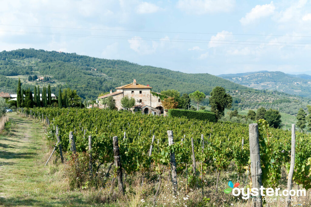 La vista dall'Agriturismo Fattoria Lavacchio .