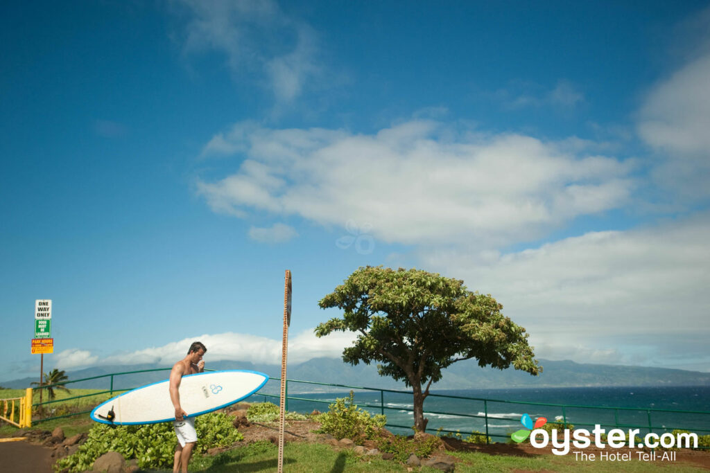 Along the Road to Hana, Maui/Oyster