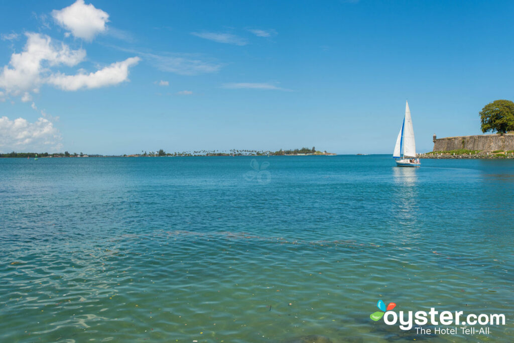 Old San Juan, Porto Rico / Oyster