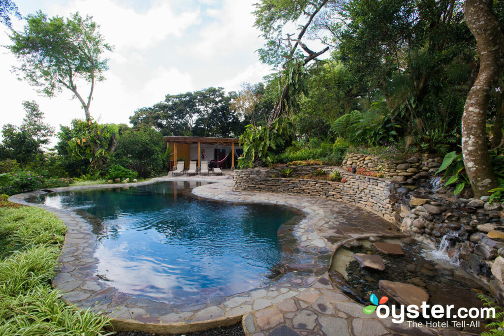 La piscina en Monteverde Lodge & Gardens / Oyster