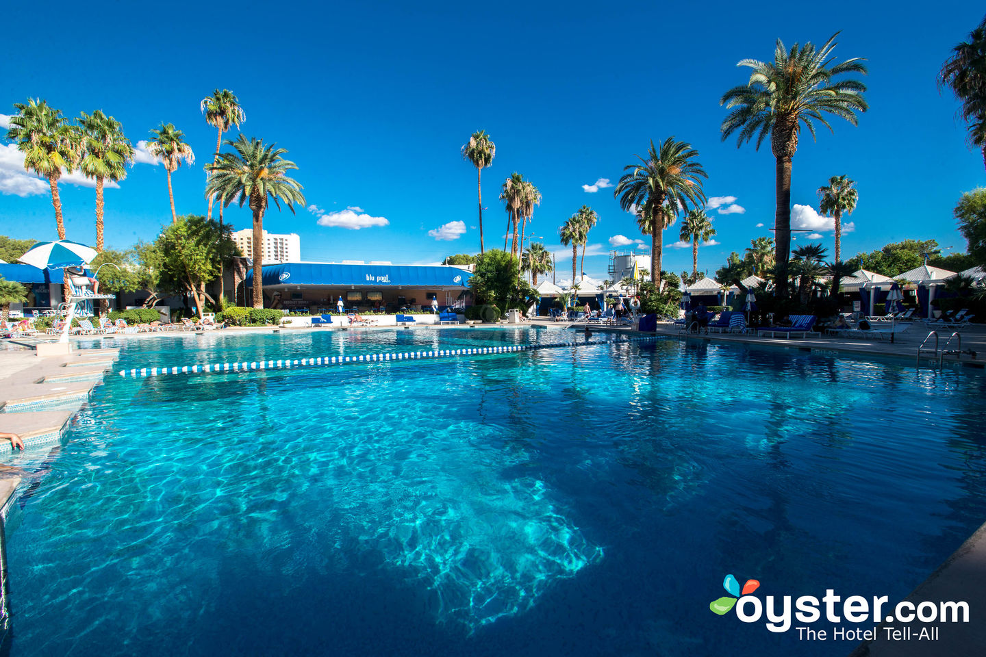 Blu Pool Las Vegas Pool - Horseshoe Las Vegas