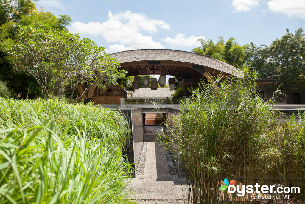 Garden in Thailand's Chiang Mai