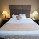 Bedroom in Quality Inn & Suites Denver Stapleton