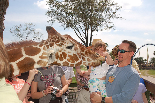 Rencontrez de nouveaux amis exotiques dans les endroits que vous attendez le moins! Photo par Alan Ramsay, Flickr Creative Commons