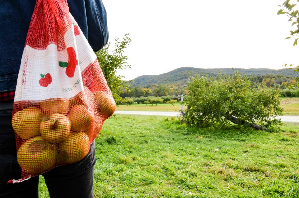 Bagging Apples at Fishkill Farms (Photo by Katherine Alex Beaven)