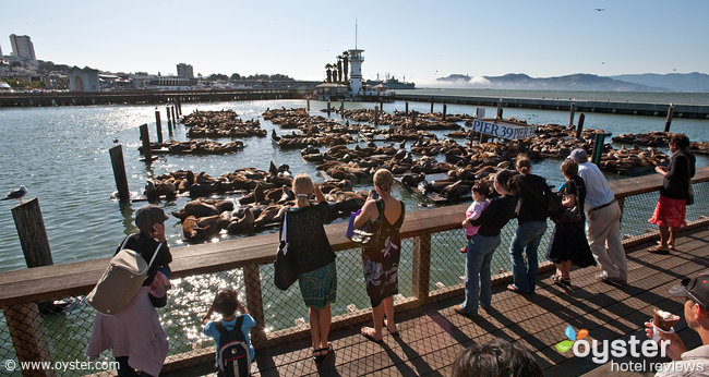 Staying near Fisherman's Wharf is a great choice for families