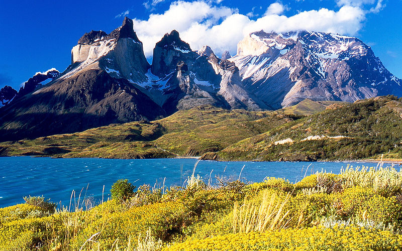 Foto cortesía de melenama .