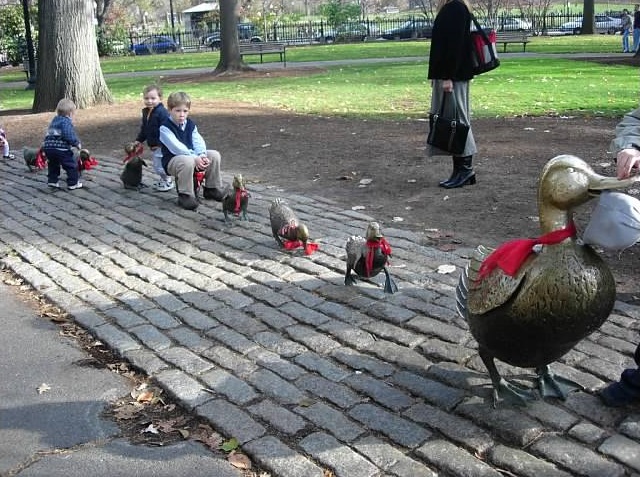 A família de patos é a atração principal do Public Garden / Crédito da foto: Mislene Santos