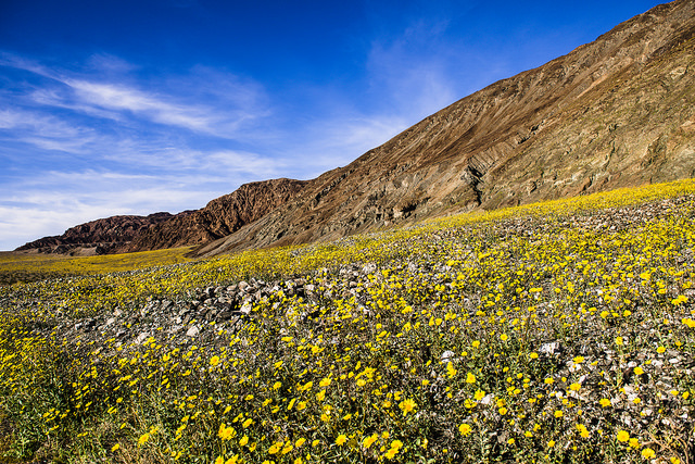21 febbraio 2016 nella Death Valley; Foto di Marc Cooper via Flickr