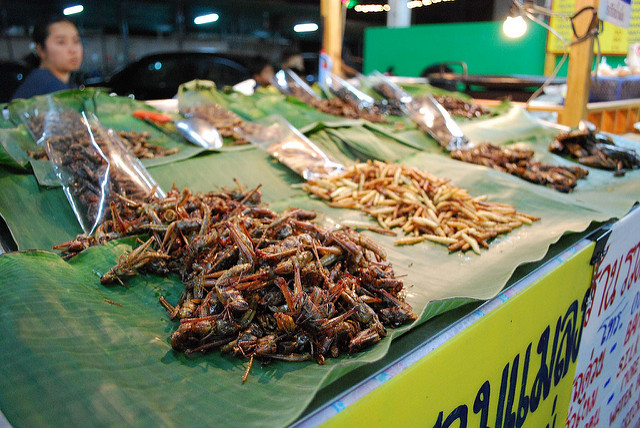 Fried Crickets, Foto di Alpha via Flickr