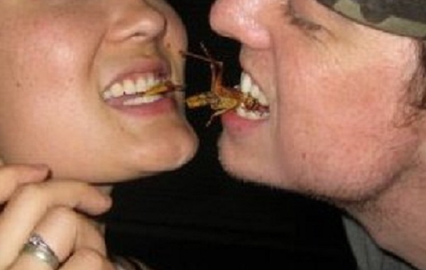 Failed Attempt at a "Lady and the Tramp" Moment in Thailand, Photo by Katherine Alex Beaven