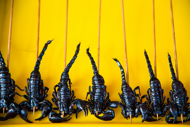 Black Scorpion, Photo by Kenneth Moore via Flickr