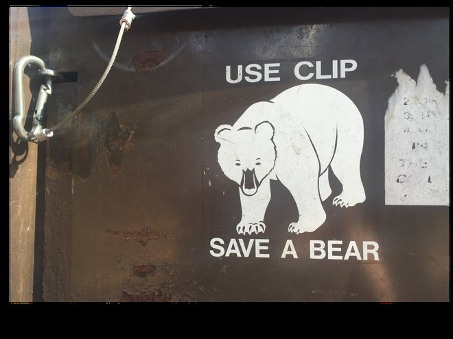 Trash bins with carabiner locks help keep dumpster-diving bears at bay. Photo credit: Margot Bigg
