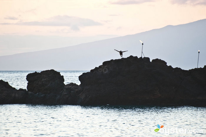 Besucher von Maui sollten unbedingt den nächtlichen zeremoniellen Kliff-Tauchgang vor dem Black Rock am Kaanapali Beach besuchen.