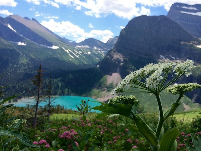 Grinnell Lake, Foto von Lara Grant