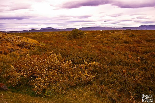 Foto cortesía de Flickr / Iundr / Iceland