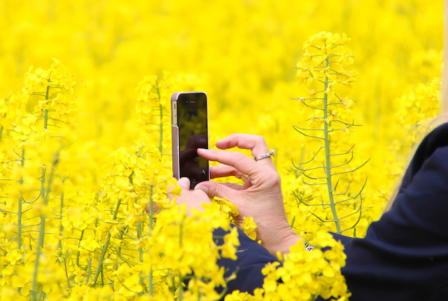 Foto per gentile concessione di Flickr / Susanne Nilsson