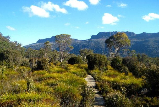 Overland Track image courtesy of Grace Wye.