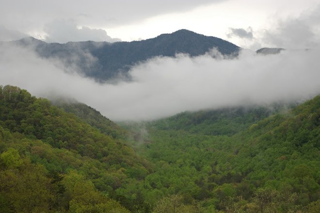 Une vue amospheric Smoky Mountains, gracieuseté de Dan via Flickr