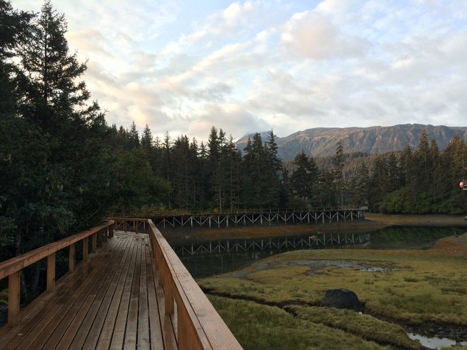 Tutka Bay Lodge Foto mit freundlicher Genehmigung von Katie Losey, Absolute Travel